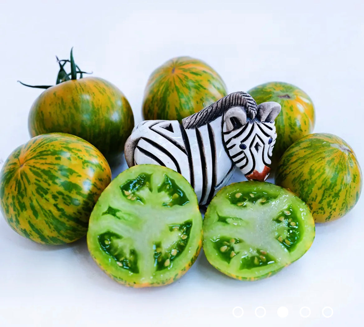 Tomato Green Zebra