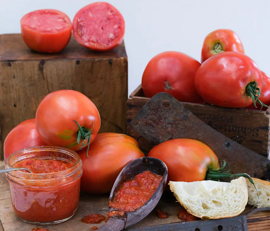 Tomato Amish Paste