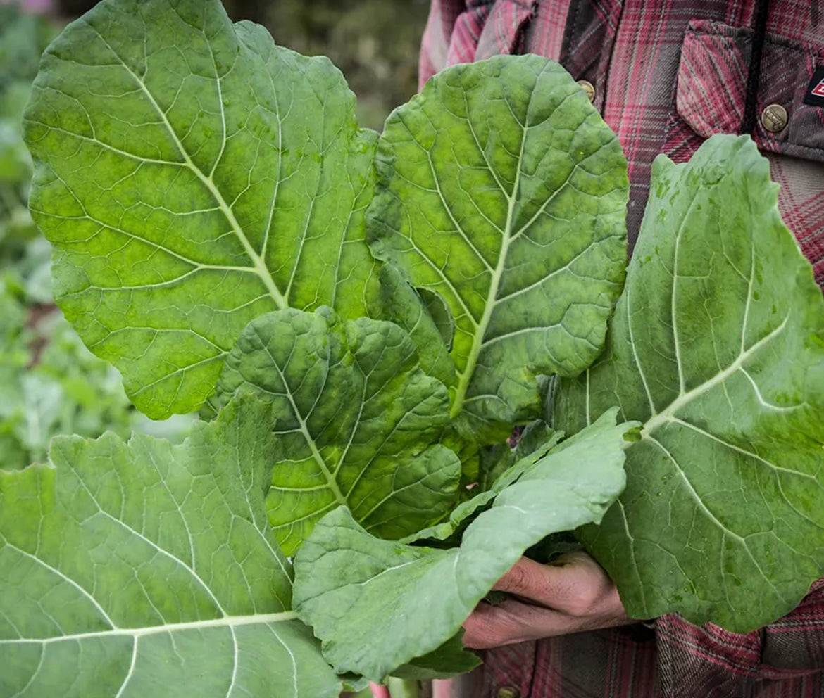 Collard Greens Creole