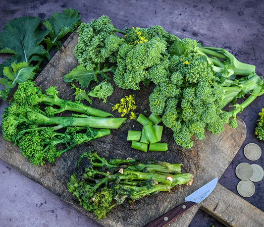 Broccoli Natalina