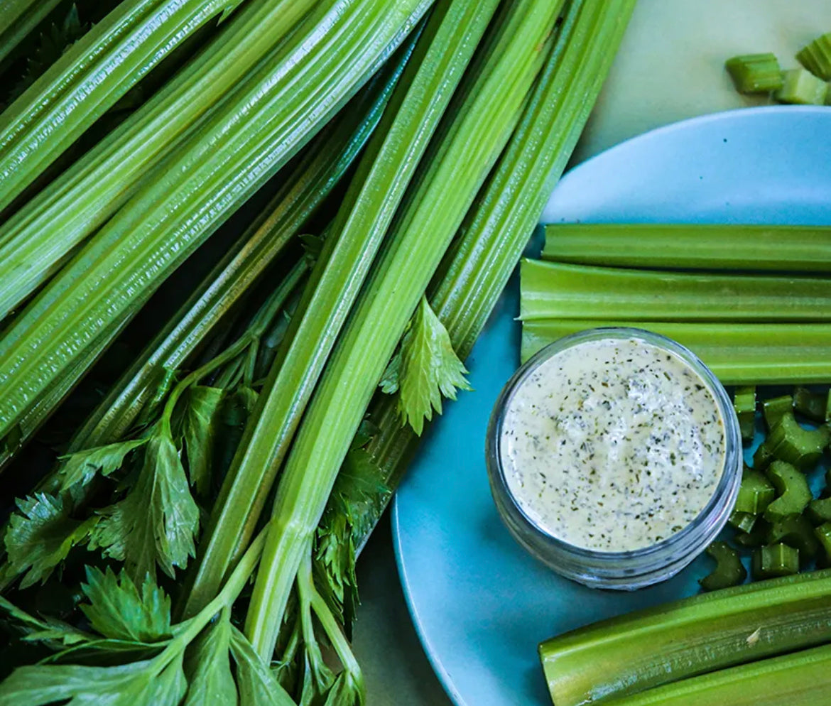 Celery Utah Tall