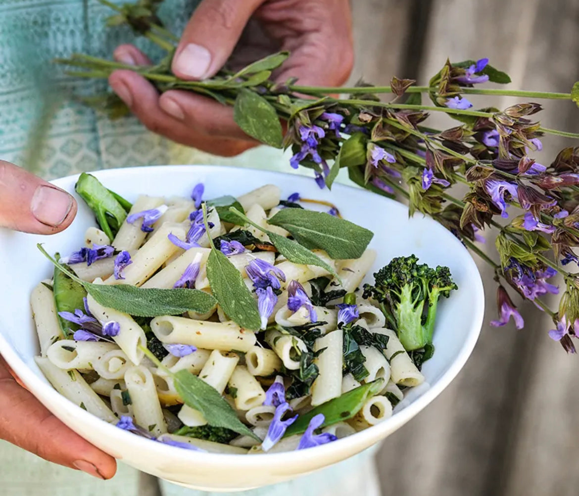 Herb Sage Broad Leaf