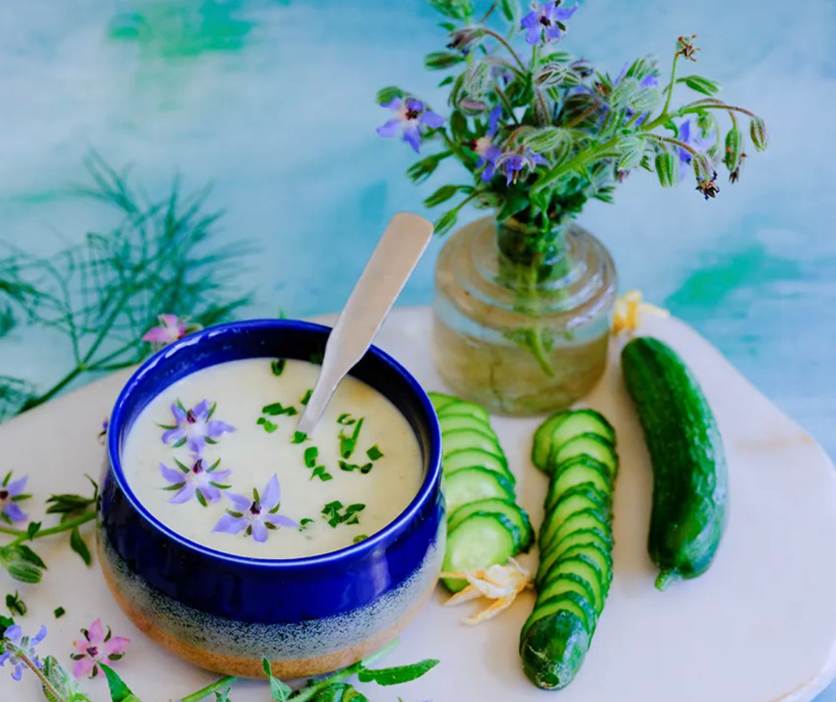 Herb Medicinal Borage