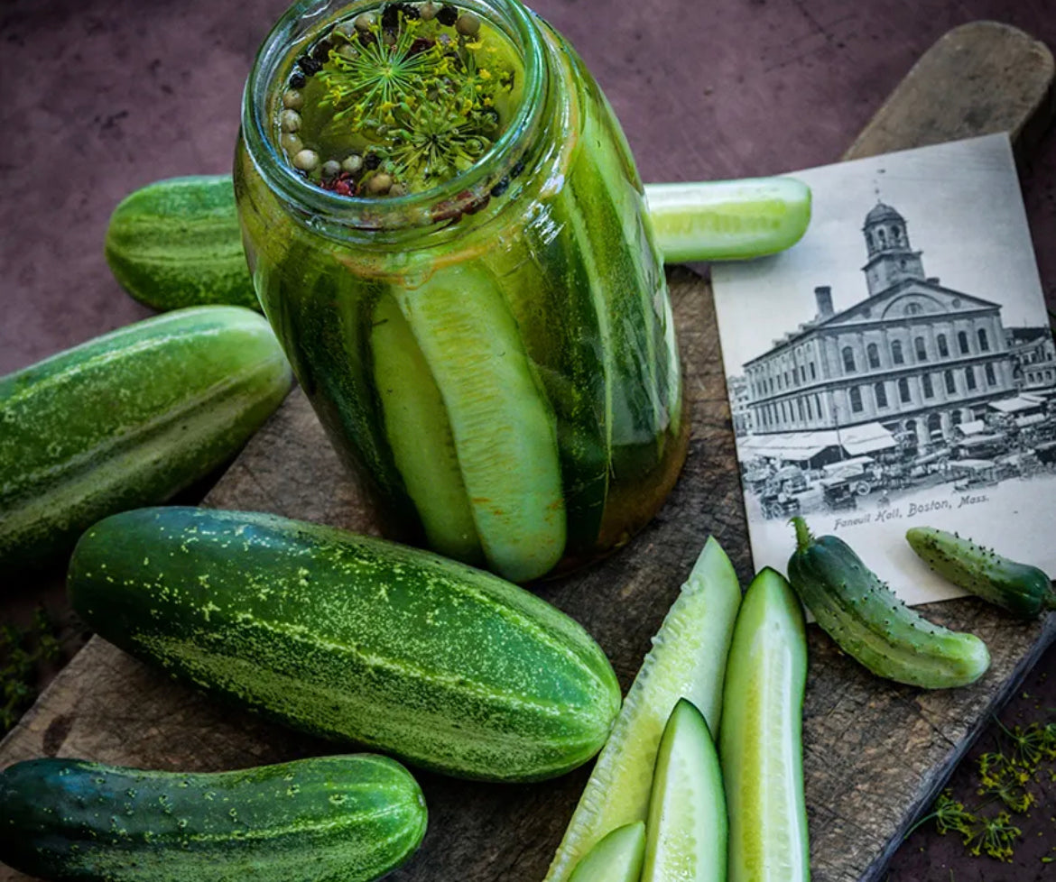 Cucumber Boston Pickling