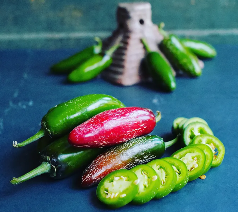 Hot Pepper Jalepeno